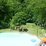 Agrofarm With Animals - Qta Entre Sebes Gospodarstwo wiejskie Cabeceiras de Basto