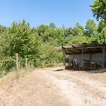 Gospodarstwo wiejskie Agrofarm With Animals - Qta Entre Sebes Cabeceiras de Basto
