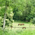 Agrofarm With Animals - Qta Entre Sebes Gospodarstwo wiejskie