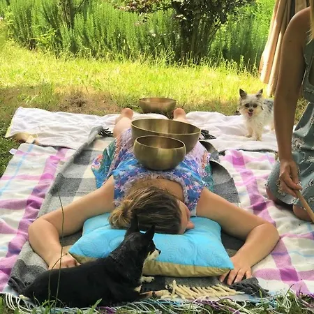 Agrofarm With Animals - Qta Entre Sebes 컨트리하우스 카베세이라스 드 바스투