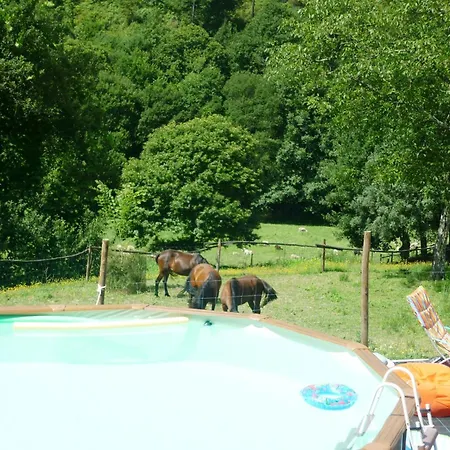 Agrofarm With Animals - Qta Entre Sebes 컨트리하우스 카베세이라스 드 바스투