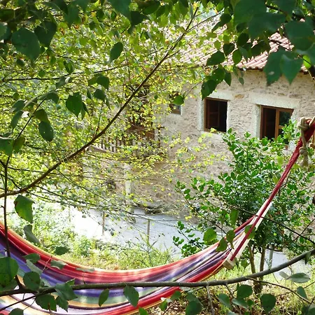 Agrofarm With Animals - Qta Entre Sebes *