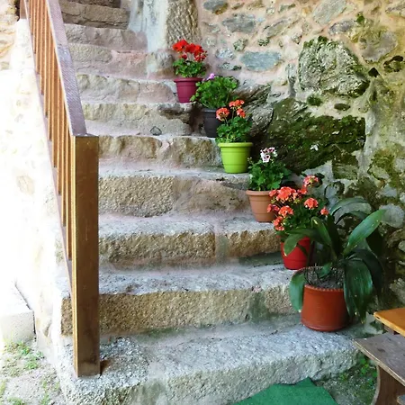 Agrofarm With Animals - Qta Entre Sebes *