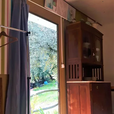 Agrofarm With Animals - Qta Entre Sebes * 카베세이라스 드 바스투