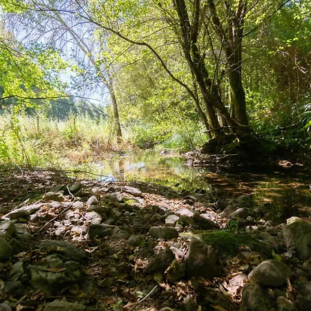 Agrofarm With Animals - Qta Entre Sebes