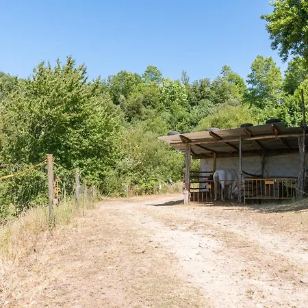 Country house Agrofarm With Animals - Qta Entre Sebes Cabeceiras de Basto
