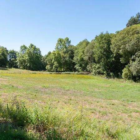 Agrofarm With Animals - Qta Entre Sebes *