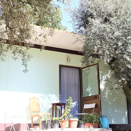 Agrofarm With Animals - Qta Entre Sebes