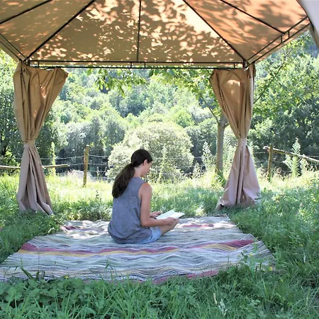 컨트리하우스 Agrofarm With Animals - Qta Entre Sebes *