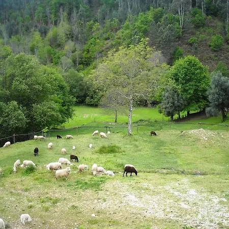 Agrofarm With Animals - Qta Entre Sebes