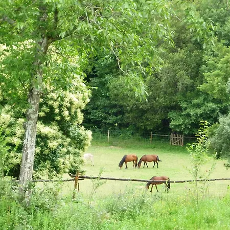 Agrofarm With Animals - Qta Entre Sebes Country house