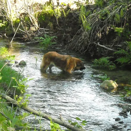 컨트리하우스 Agrofarm With Animals - Qta Entre Sebes
