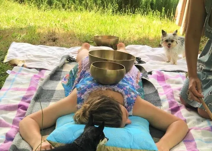 Agrofarm With Animals - Qta Entre Sebes Kır Evi Cabeceiras de Basto