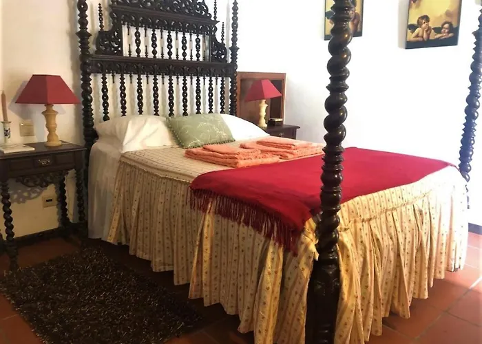 Agrofarm With Animals - Qta Entre Sebes Cabeceiras de Basto