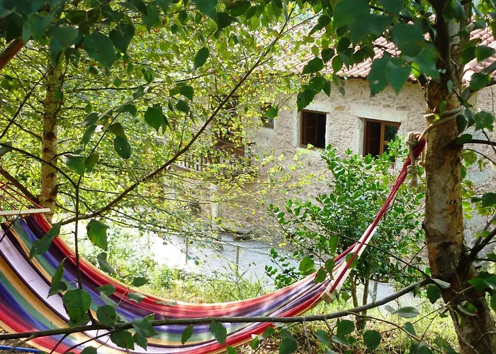 Agrofarm With Animals - Qta Entre Sebes *