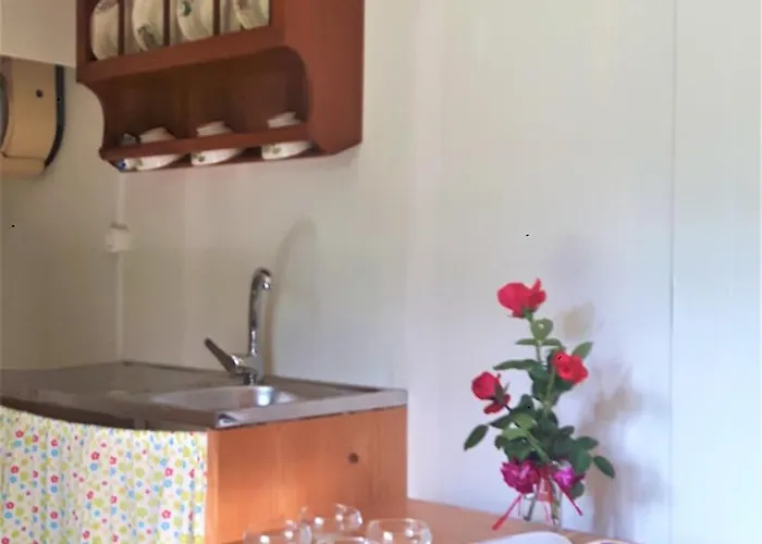 Kır Evi Agrofarm With Animals - Qta Entre Sebes