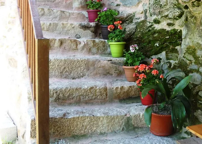 Agrofarm With Animals - Qta Entre Sebes *