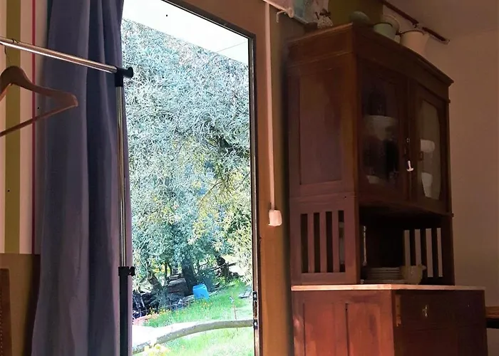 Agrofarm With Animals - Qta Entre Sebes * Cabeceiras de Basto