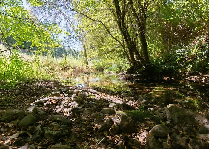 Agrofarm With Animals - Qta Entre Sebes