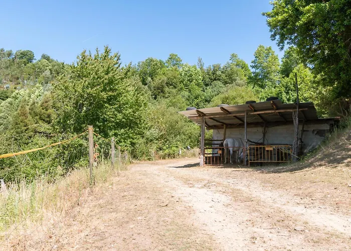 Venkovský dům Agrofarm With Animals - Qta Entre Sebes Cabeceiras de Basto