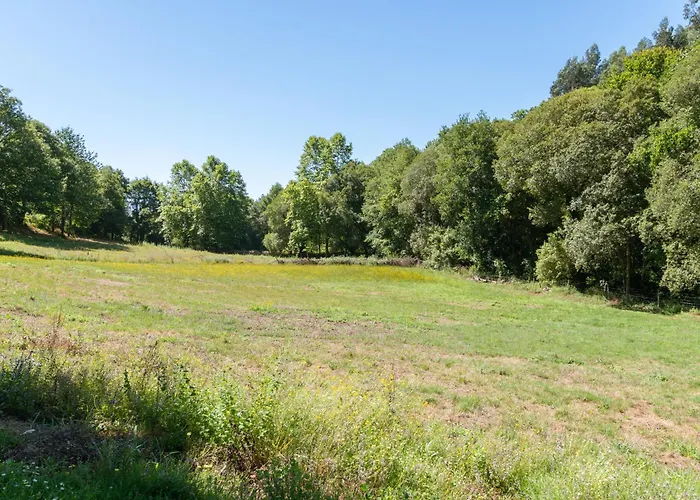 Agrofarm With Animals - Qta Entre Sebes *