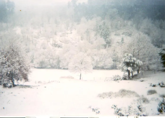 Agrofarm With Animals - Qta Entre Sebes Cabeceiras de Basto