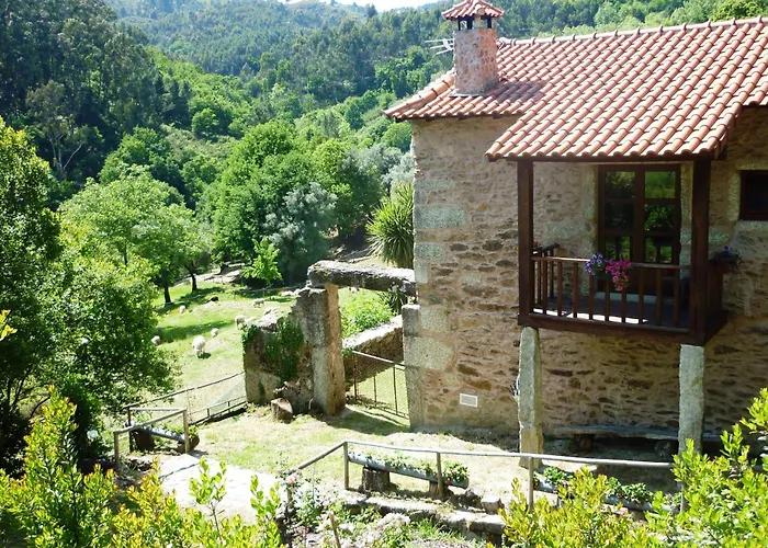 Agrofarm With Animals - Qta Entre Sebes * Cabeceiras de Basto