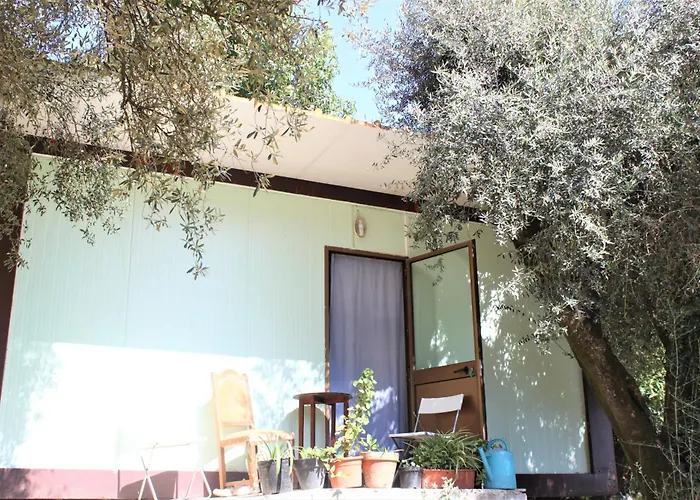 Agrofarm With Animals - Qta Entre Sebes