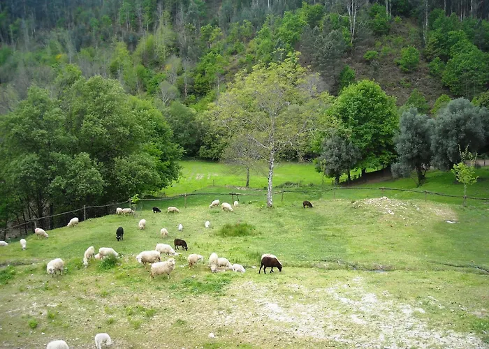 Agrofarm With Animals - Qta Entre Sebes