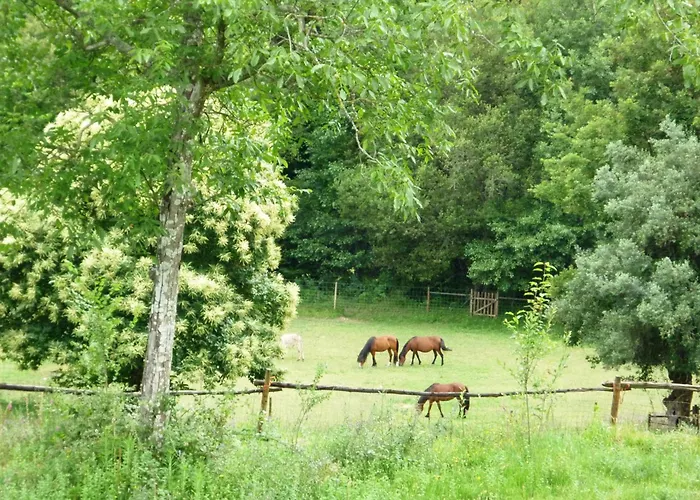 Agrofarm With Animals - Qta Entre Sebes Kır Evi